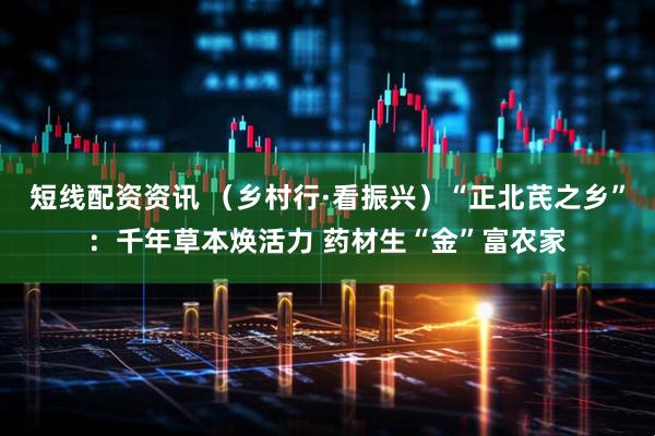短线配资资讯 （乡村行·看振兴）“正北芪之乡”：千年草本焕活力 药材生“金”富农家