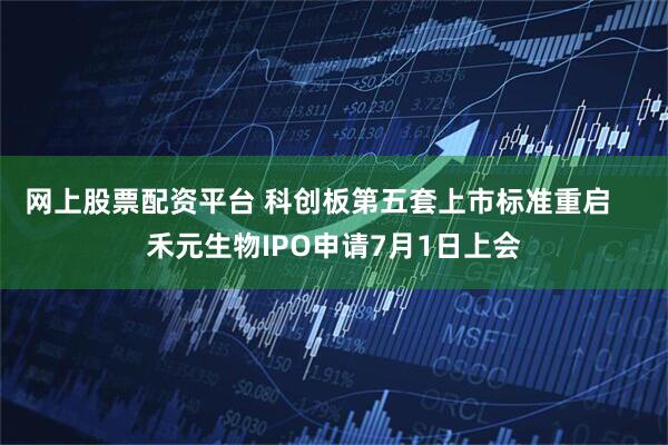 网上股票配资平台 科创板第五套上市标准重启    禾元生物IPO申请7月1日上会